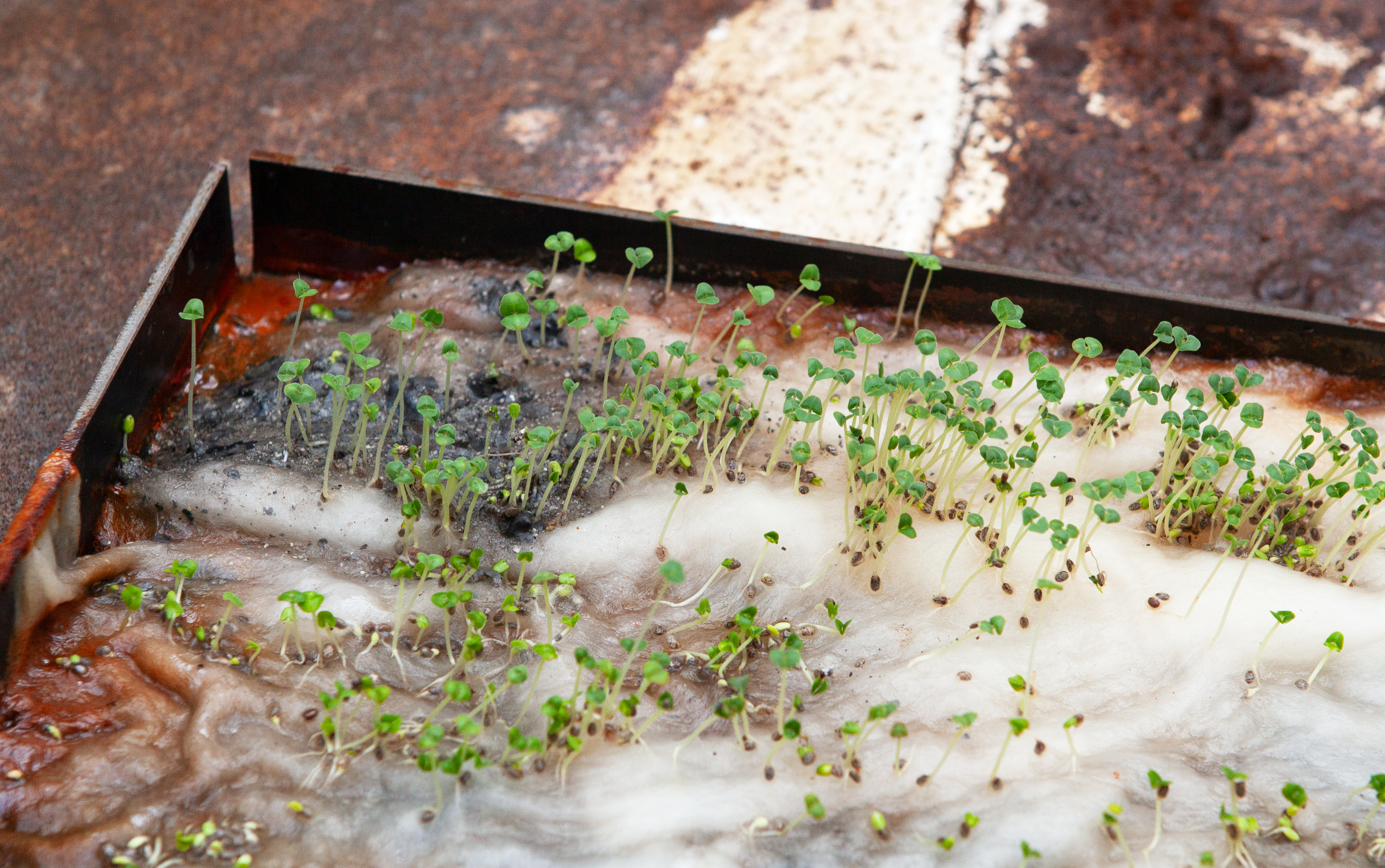 Foto: Atelieraufnahme, 2025 © Melike Kara Foto: Şirin Şimşek