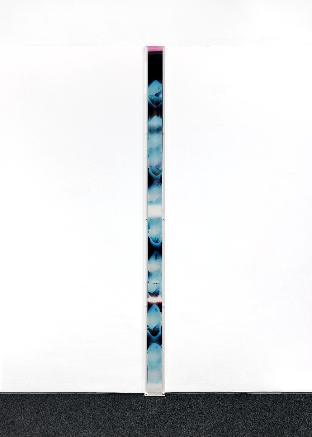 Foto: Nina Porter, R2C4191123, 2023 Aus der Serie Measures. C-Typ-Kontaktabzug und C- Typ-Negativ im Rahmen der Künstlerin. 240 x 14 x 2,2 cm