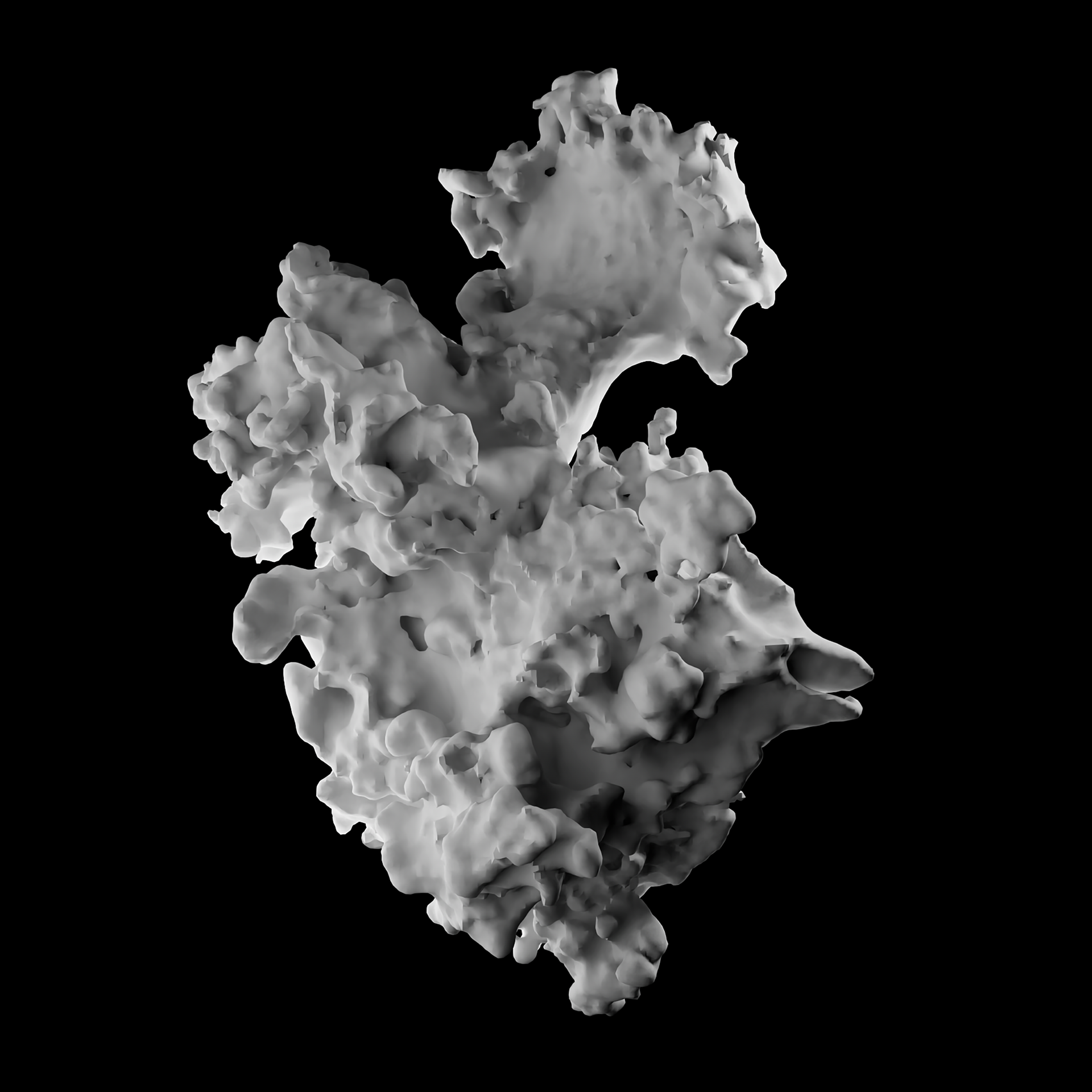 © Sonja Mense, „Lichen“.