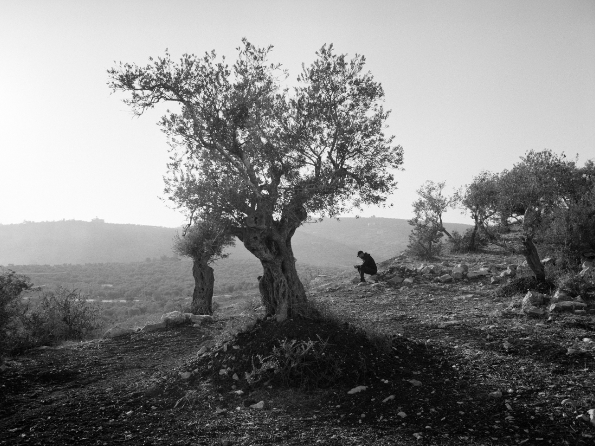 Sakir Khader, The Steadfast Witness, Nablus, Palestine, 2025. © Sakir Khader & Magnum Photos