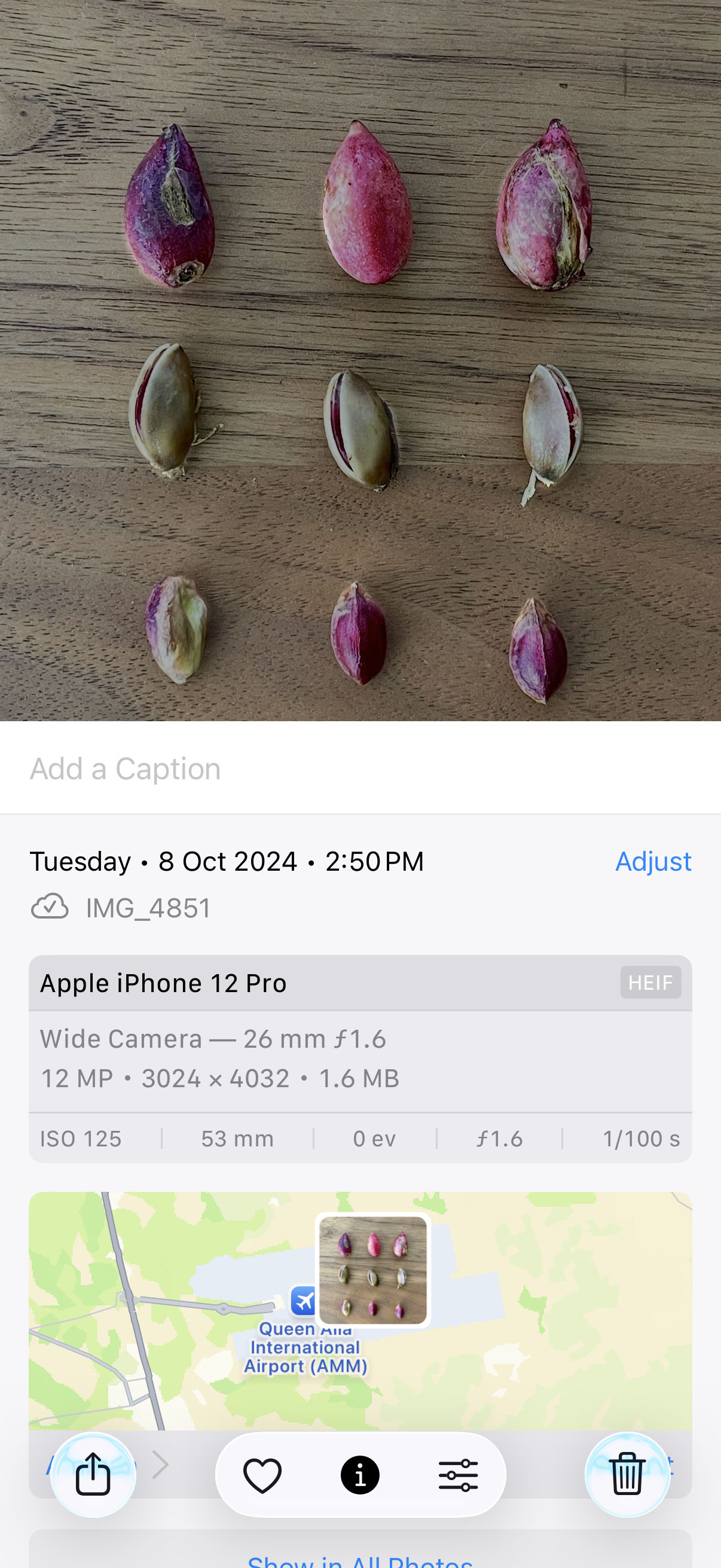 Akram Zaatari, Pistachios for Benedicte, 2024